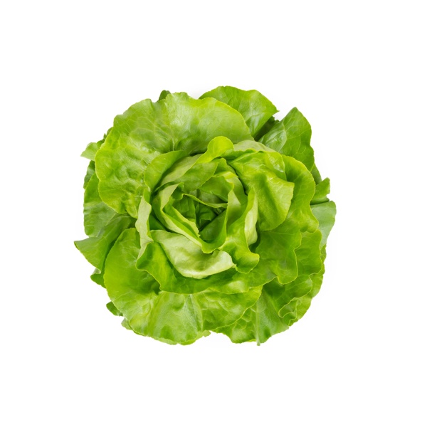 BASILIO RZ product photo view-2 L