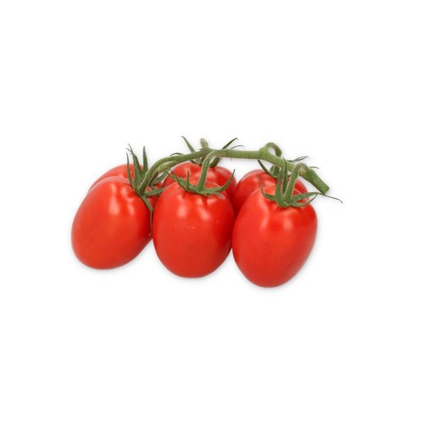 72-PL0501 Tulemalu product photo front L