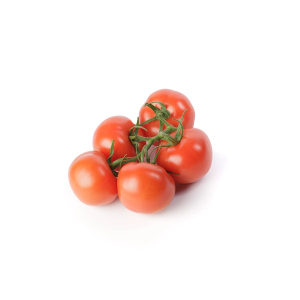 SIRANZO RZ F1 (72-754) product photo view-2 L