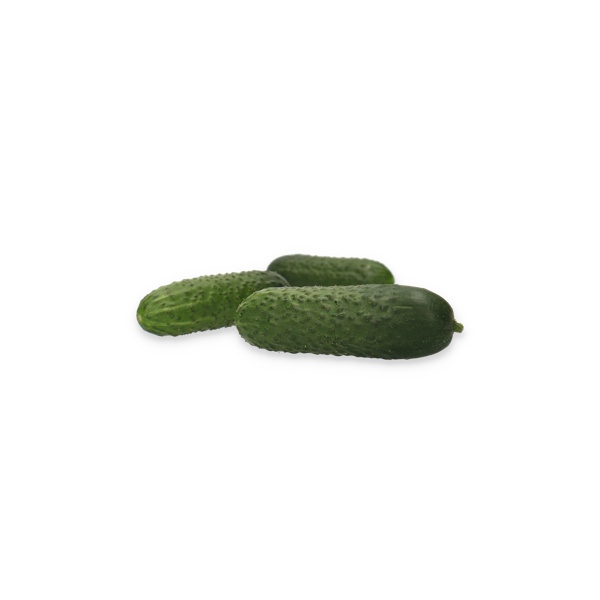 ILONARA RZ F1 product photo view-2 L