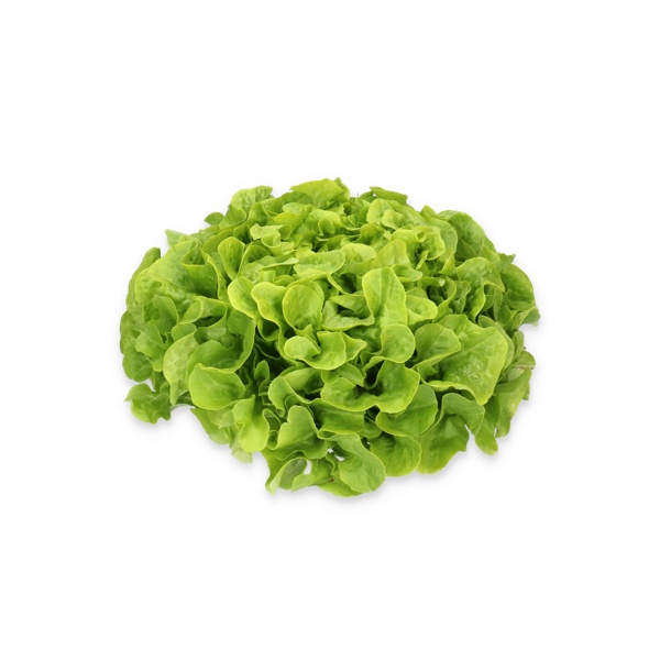 KIDOW RZ (83-104) product photo view-2 L