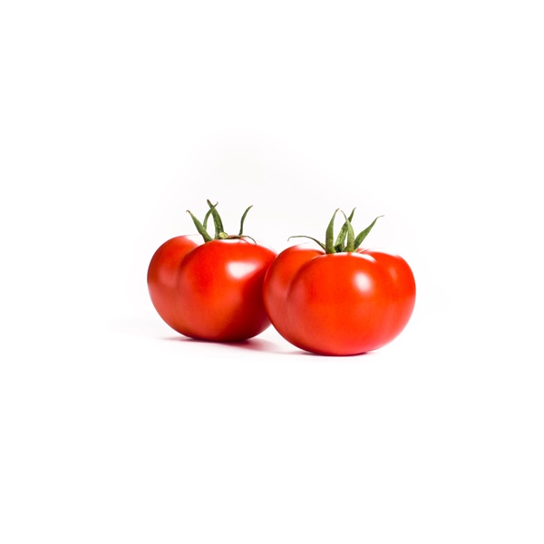ريشكا آر- زد  product photo view-2 L