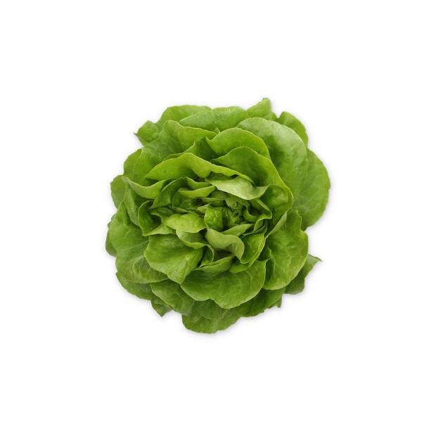 WALWIN RZ (42-BU1364) product photo front L