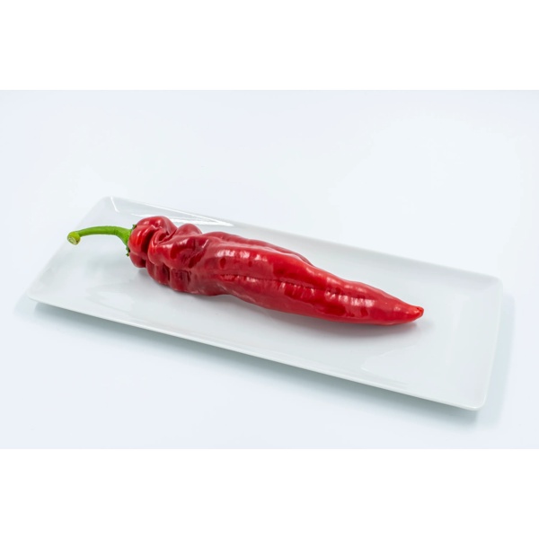 PALERMO RADIUS RZ F1 product photo view-3 L