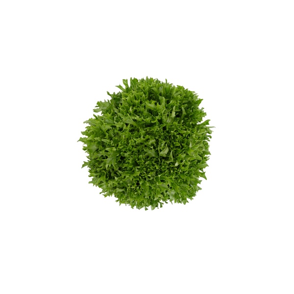 EXCAVO RZ product photo front L