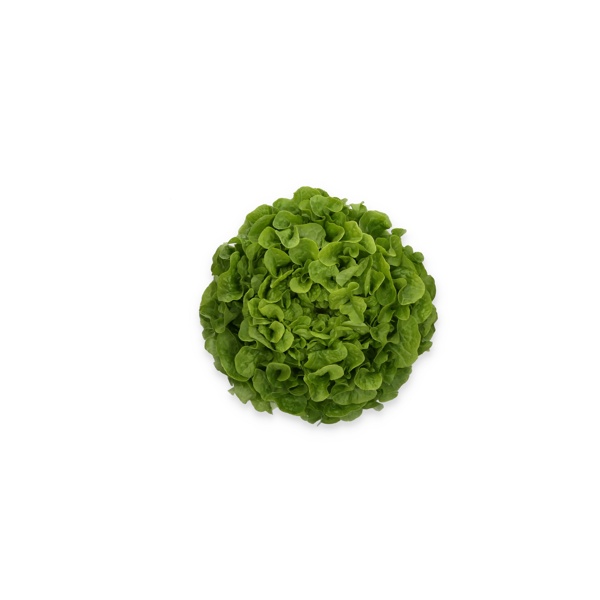 KIDOW RZ (83-104) product photo front L