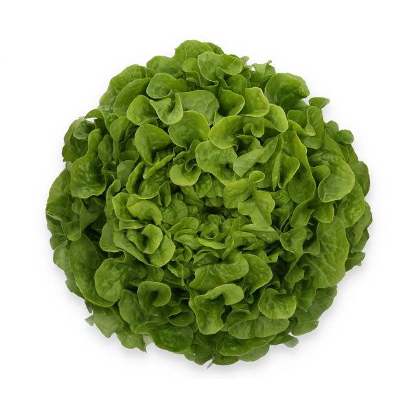 KIDOW RZ  product photo front L