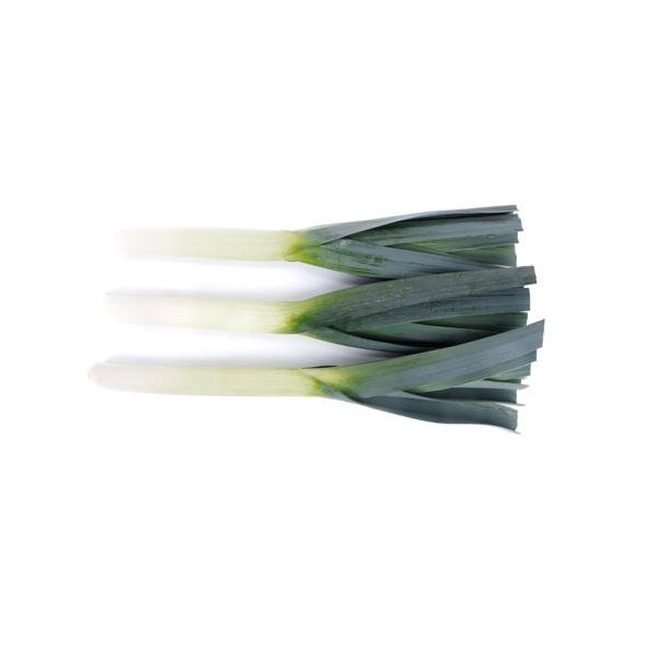 FRACTUS RZ F1 product photo view-2 L