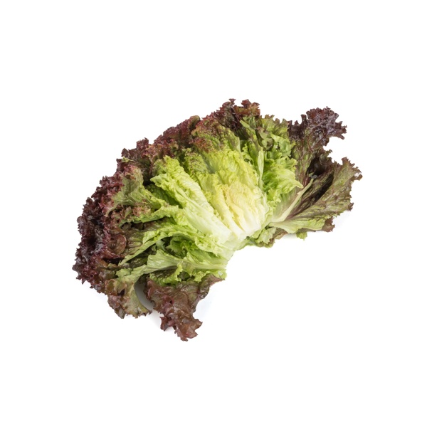 BARTAL RZ  product photo view-2 L