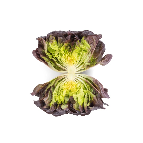 VECELLIO RZ (79-ML2872) Knox™ product photo view-4 L