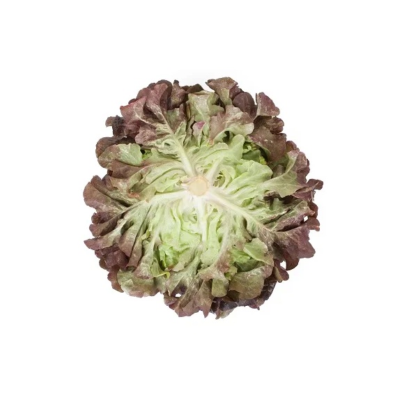 MACAÏ RZ (83-72) product photo view-2 L