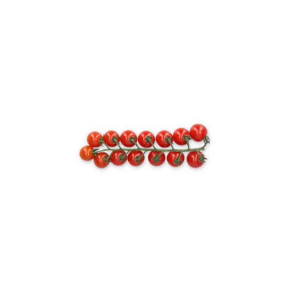 NECLUDA RZ F1 (72-CH0362) product photo front L