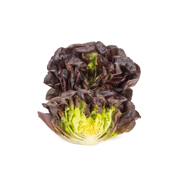 VECELLIO RZ (79-ML2872) Knox™ product photo view-2 L