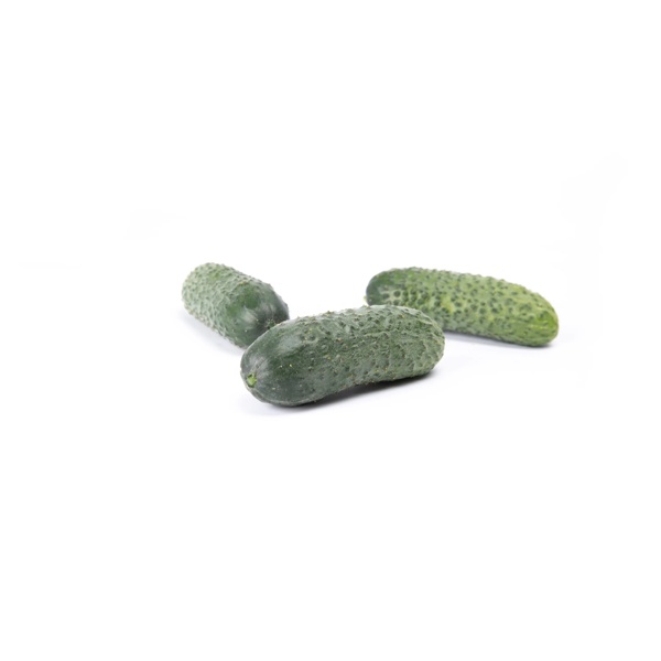 CHAIKOVSKIY RZ F1 product photo view-2 L