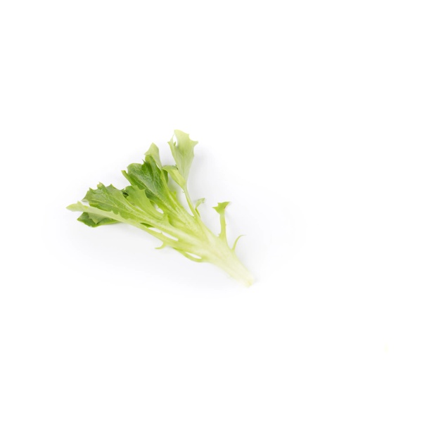 CHAPMAN RZ product photo view-2 L