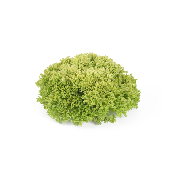 VICINITY RZ (79-82) product photo view-2 L