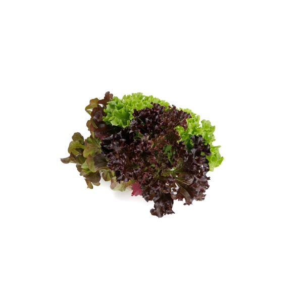 Salatriomix 6 (3x25tpc) product photo front L