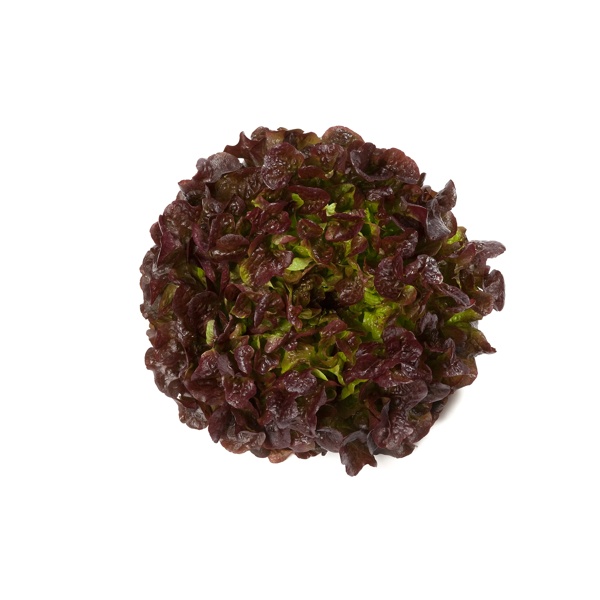 PRUNAÏ RZ product photo front L