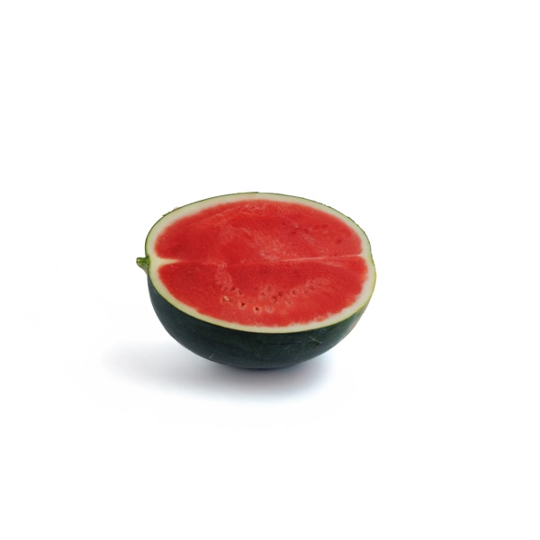 GANIMEDES RZ F1  product photo view-2 L