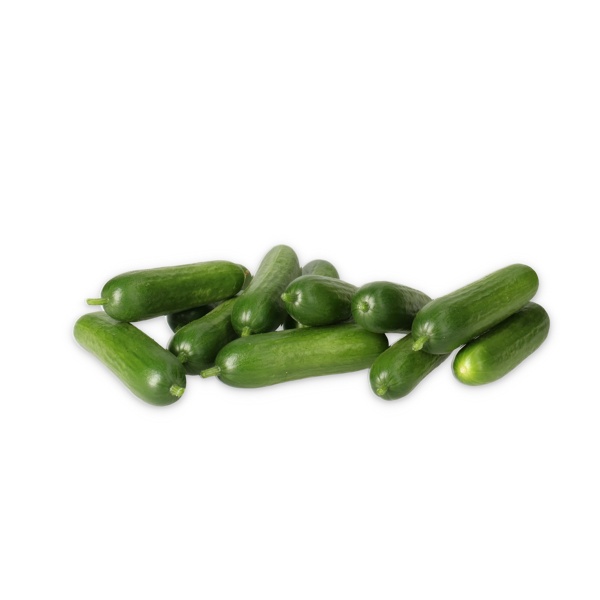 QUANTARIO RZ F1 product photo view-2 L
