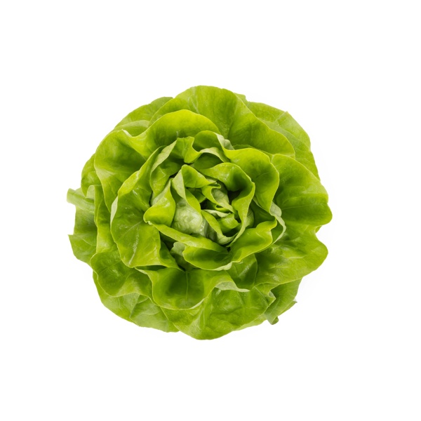 GAMBETTA RZ product photo front L