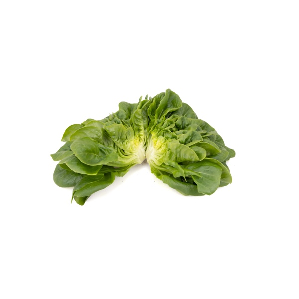 GIBBARD RZ (79-ML1112) product photo view-5 L