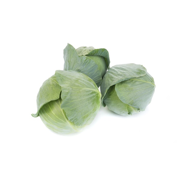 CONGAMA F1 (30-717) Produktbild view-4 L