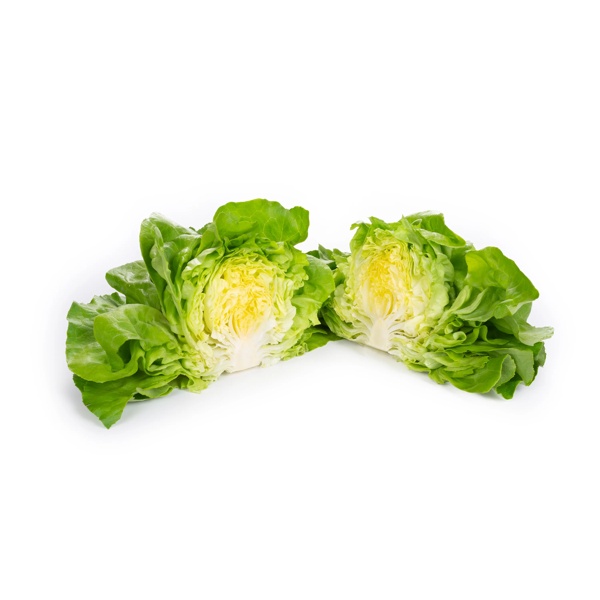 ELICIO RZ (43-BU7206) product photo view-2 L