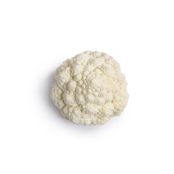 WHITAKER RZ F1 product photo view-4 L