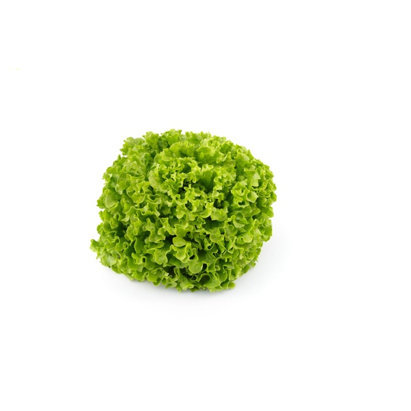 OLMETIE RZ product photo view-2 L