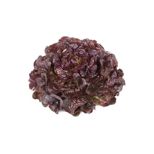 MACAÏ RZ (83-72) product photo front L
