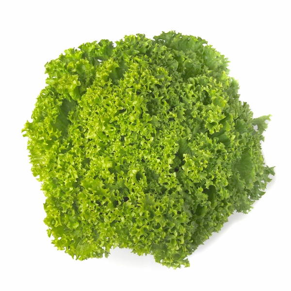 ALEPPO (85-11) Produktbild front L