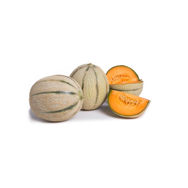 Semillas de melón | Pepino Largo | Blue Leaf™ | ZINASOL RZ | Rijk Zwaan
