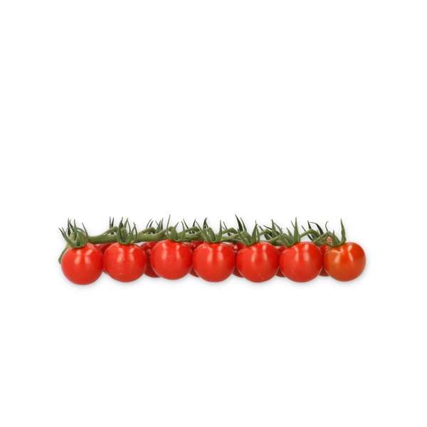 PROVENTURA RZ F1 (72-CH0363) product photo view-3 L