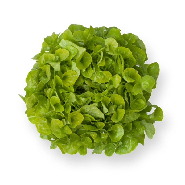 KIRINIA RZ (83-44) product photo front L
