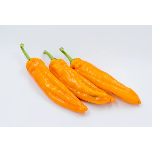 PALERMO OBEDIUS RZ F1 product photo view-4 L