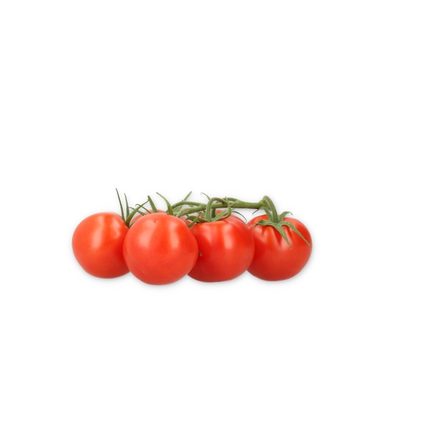 CURZIO RZ F1 product photo view-2 L