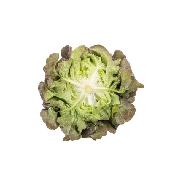CALIBAI RZ  product photo view-2 L