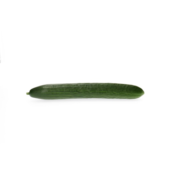 CLIMONT F1 (24-248) product photo front L