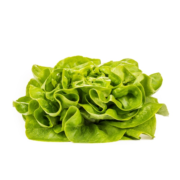 GALLOWAY RZ product photo view-2 L