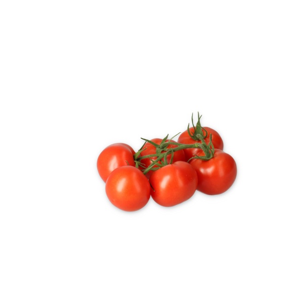 ONORICIA RZ F1 product photo view-2 L