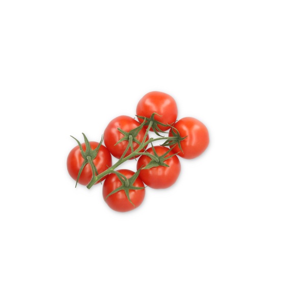 CURZIO RZ F1 product photo view-3 L