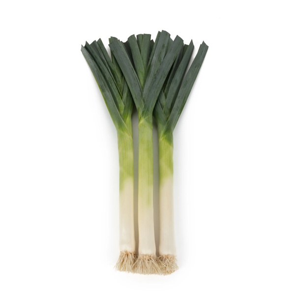 MAMMATUS F1 (38-EM7086) Produktbild view-3 L