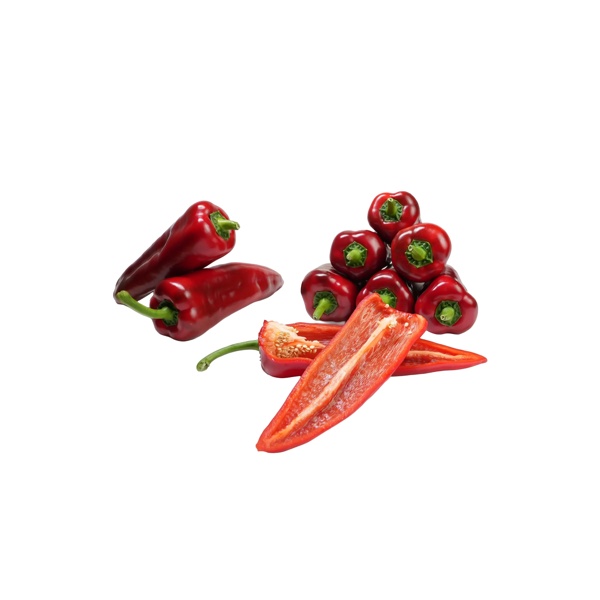 DORISA RZ F1  product photo view-3 L
