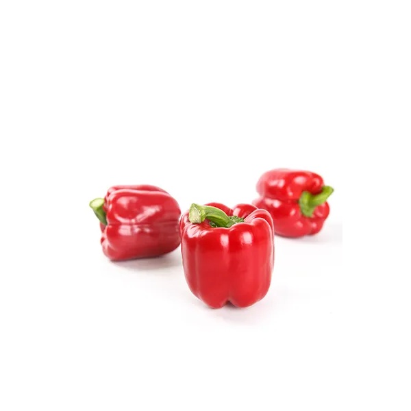 روتسكا آر- زد product photo front L