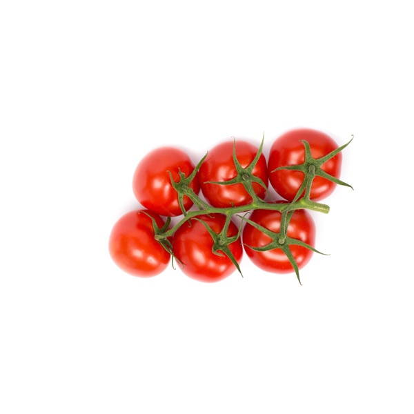 SENSERNO F1 (72-245) Produktbild view-2 L