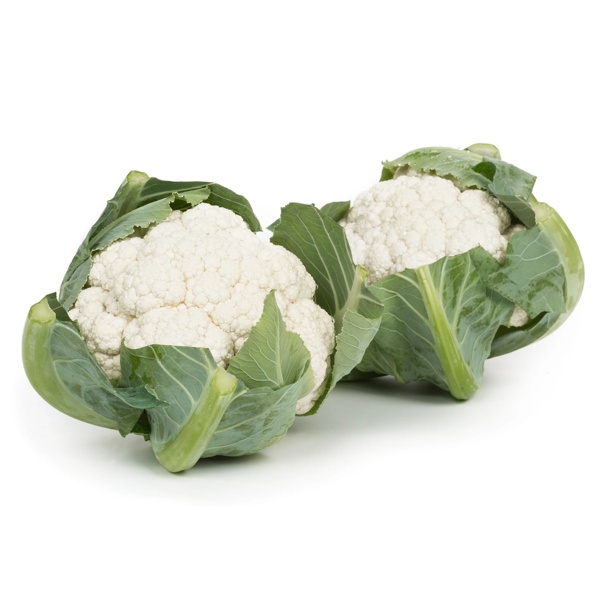 ARIENZO F1 (26-242) Produktbild view-2 L