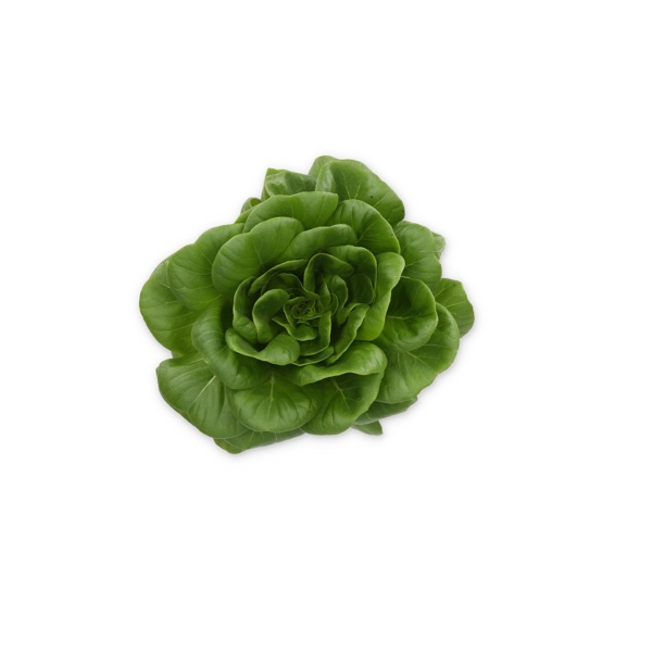 BERNOULLI RZ product photo front L