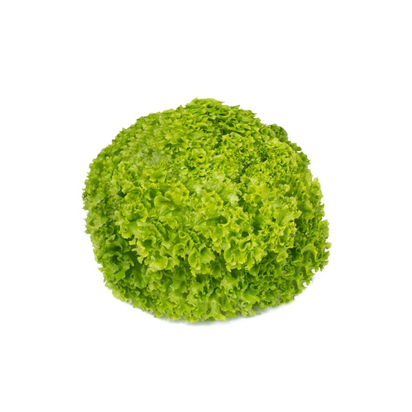 LIMEIRA RZ product photo front L