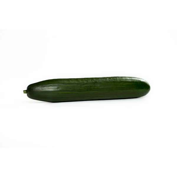 LITORAL RZ  product photo view-2 L